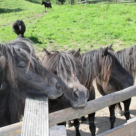 Rezydencja Lesny Dwor Piwniczna-Zdroj Eksteriør bilde